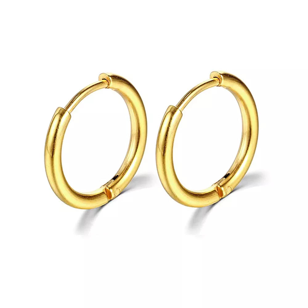 2024 New Hoop Earrings